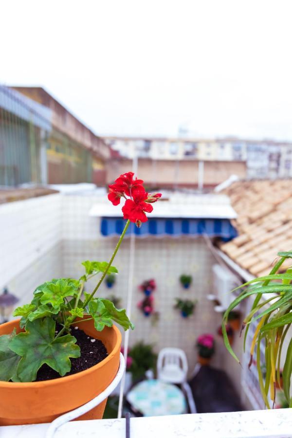 코르도바 Casa La Plateria 빌라 외부 사진